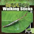 Walking sticks