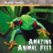 Amazing animal feet