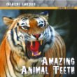 Amazing animal teeth