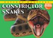 Constrictor snakes