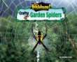 Crafty garden spiders