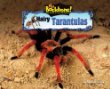 Hairy tarantulas