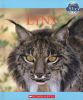 Lynx