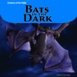 Bats in the dark