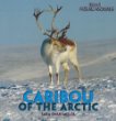 Caribou of the Arctic