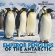 Emperor penguins of the Antarctic