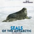 Seals of the Antarctic