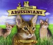Awesome Abyssinians