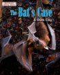 The bat's cave : a dark city