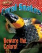 Coral snakes : beware the colors!