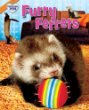 Furry ferrets