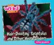Hair-shooting tarantulas and other weird spiders