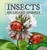 Insects : six-legged animals