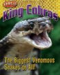 King cobras : the biggest venomous snakes of all!