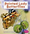 Painted lady butterflies
