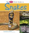 The Pebble first guide to snakes