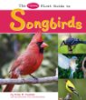 The Pebble first guide to songbirds