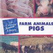 Farm animals: Pigs. Pigs /