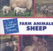 Farm animals:  Sheep. Sheep /