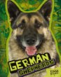 German shepherds