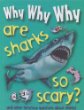 Why why why are sharks so scary?.