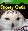 Snowy owls