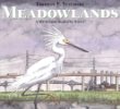 Meadowlands : a wetlands survival story