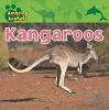 Kangaroos