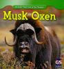 Musk oxen