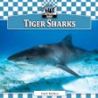 Tiger sharks