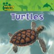 Turtles