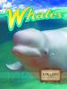 Whales