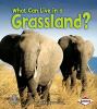 What can live in a grassland?