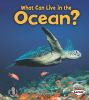What can live in the ocean?