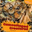 Camouflaged creatures
