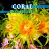 Coral : reef builders
