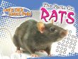 The facts on rats