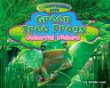 Green tree frogs : colorful hiders