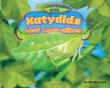 Katydids : leaf look-alikes