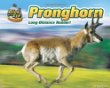 Pronghorn : long-distance runner!