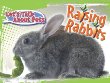 Raising rabbits