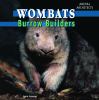 Wombats : burrow builders