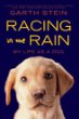 Racing in the rain : my life as a dog