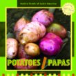 Potatoes = : Papas