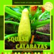 Squash = : Calabazas