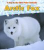 Arctic fox