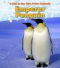 Emperor penguin