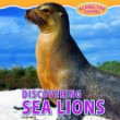 Discovering sea lions