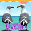 Discovering seagulls