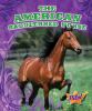 The American saddlebred horse